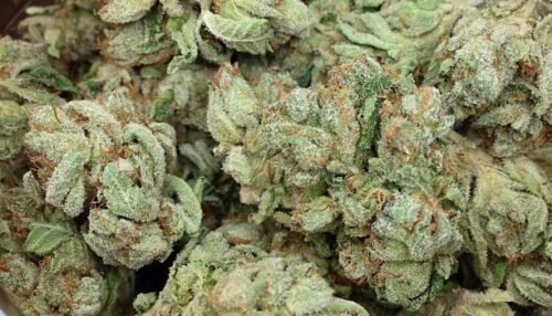 Buy Sour OG Online Canada - Image 23