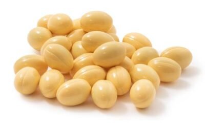 Buy HYBRID CBD SOFTGELS Online