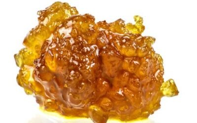 Buy LEMON MARGY LIVE RESIN CAVIAR