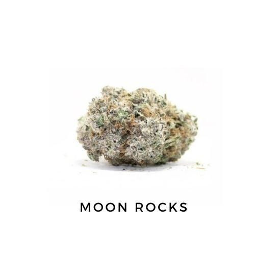 Moon Rocks
