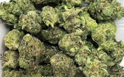 Blue Zushi THCA Flower