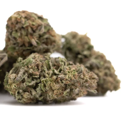 Bolor Tartz THCa Hemp Flower