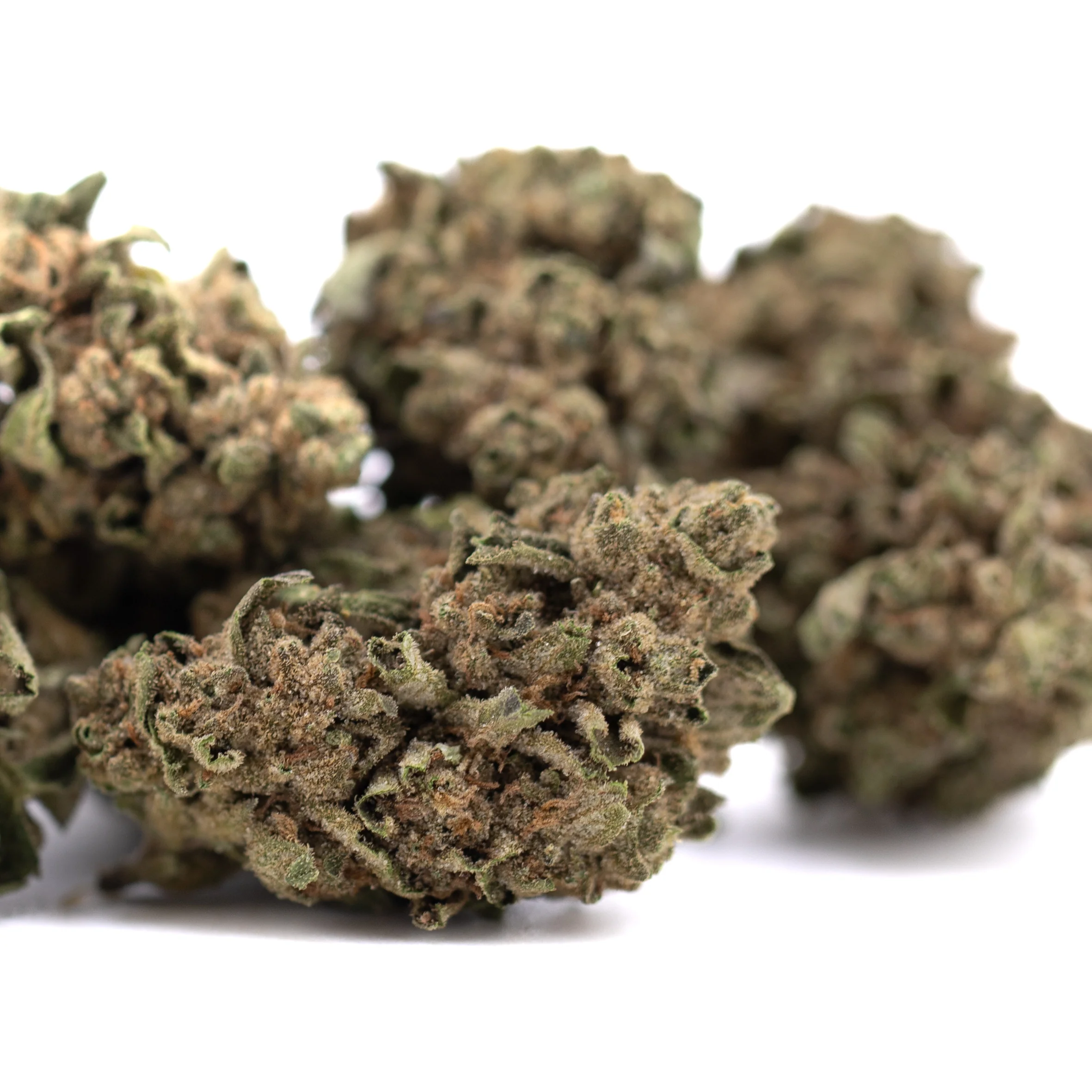 Canal Street Runtz THCA Hemp Flower