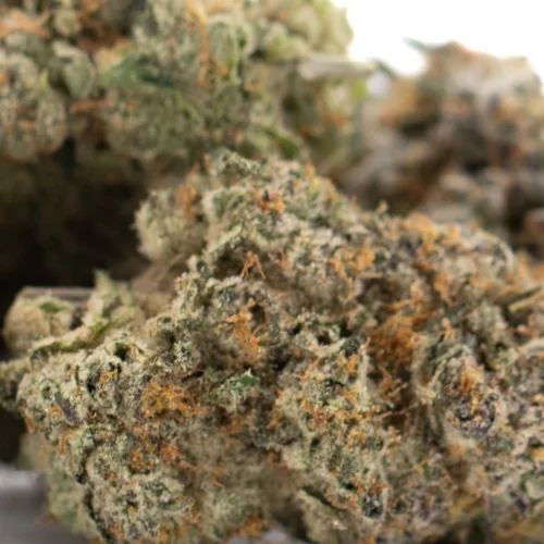 Chicken & Waffles Indoor THCa Flower