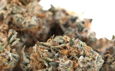 DEA-4 Indoor THCa Flower