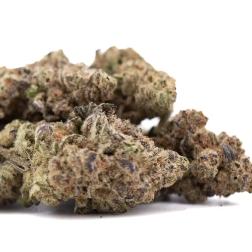 Gassa Purple THCA Hemp Flower