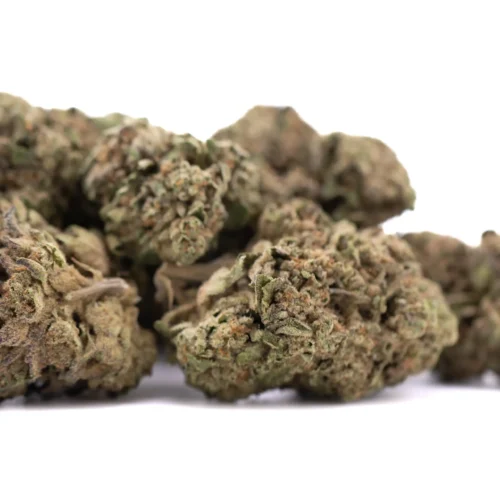 Lemon Cherry Gelato THCa Hemp Flower