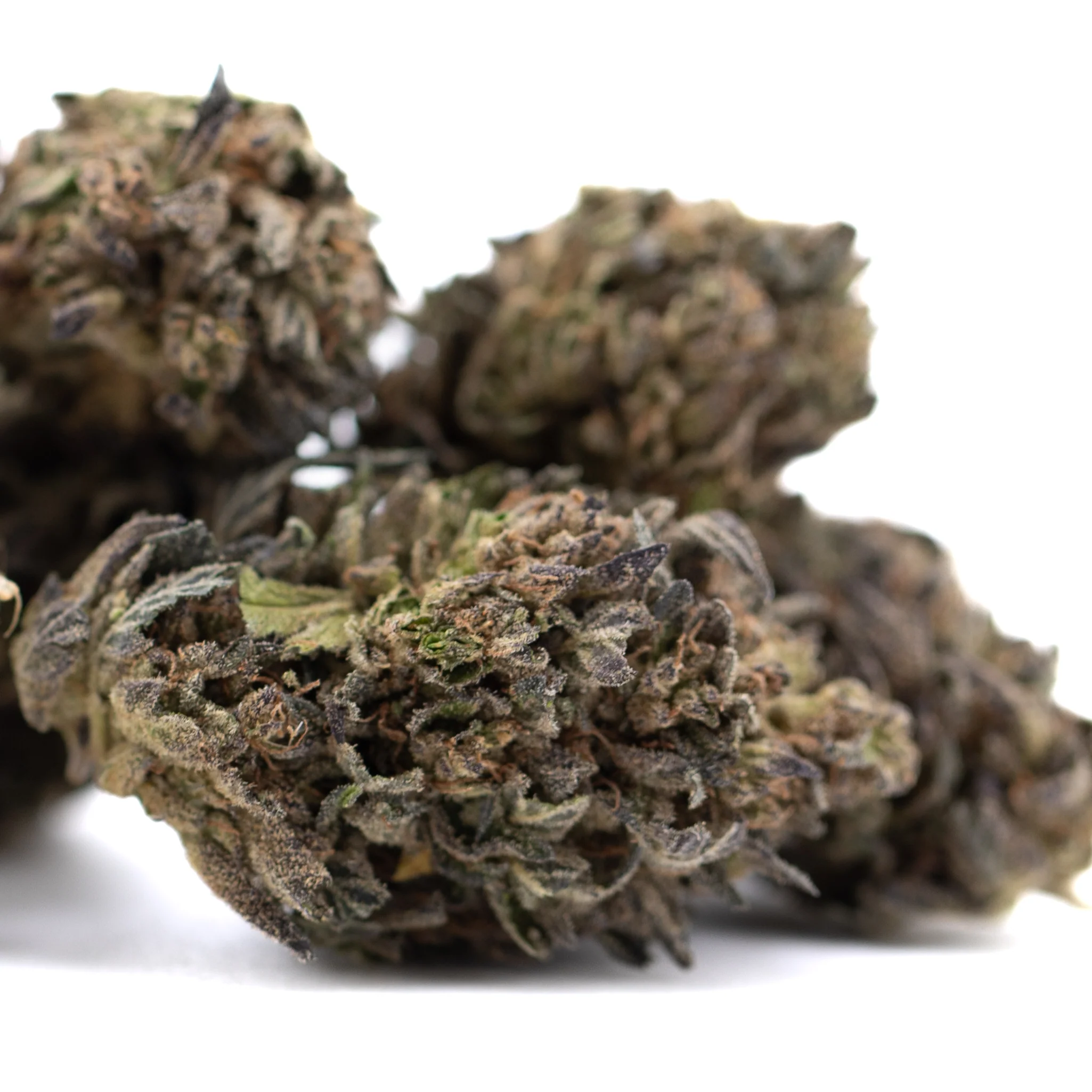 Wholesale THCA Flower