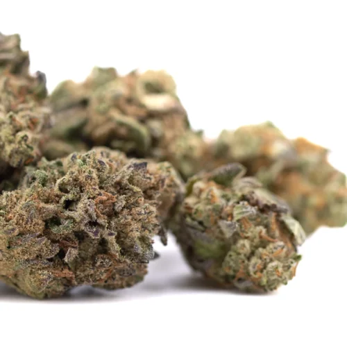 Poison Gushers THCA Hemp Flower