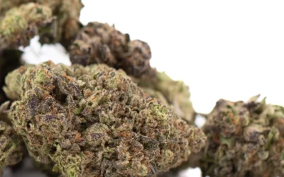 Zushi THCa Hemp Flower